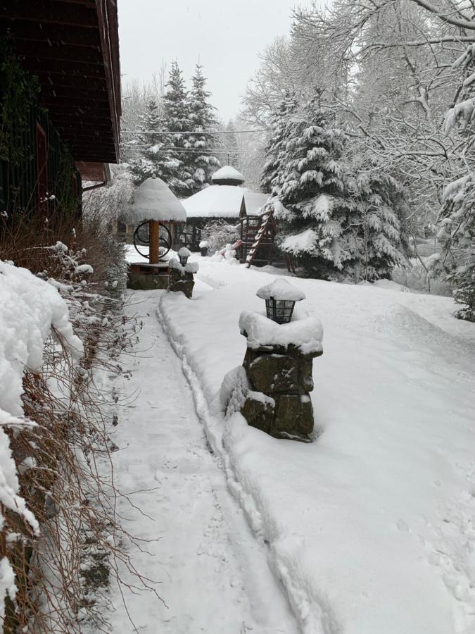 Gosciniec Pod Smrekami Bed and Breakfast Czorsztyn Eksteriør billede